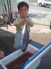 キメジ2匹（キハダマグロの幼魚）2002.5.4