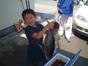 キメジ2匹（キハダマグロの幼魚）2002.5.4